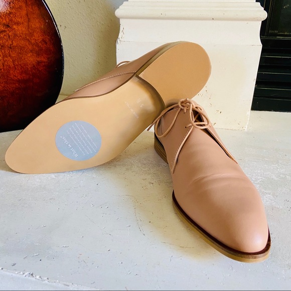 Everlane Italian Leather The Modern Oxford Blush 9 - Picture 7 of 7